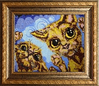 Коты
