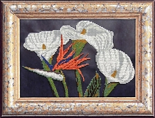 Каллы