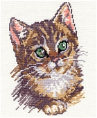 Котенок