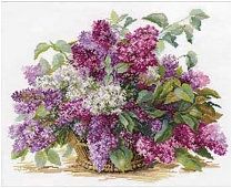 Сирень