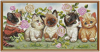 Котята