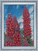 Люпины
