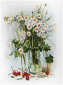 Ромашки и вишни