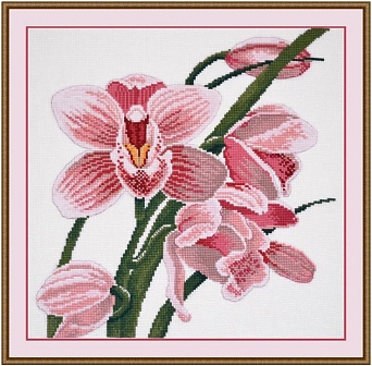 Зов орхидеи