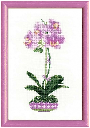 Сиреневая орхидея