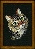 Серая кошка