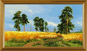 Рожь