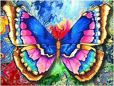 Рисунок бабочки