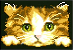 Котенок