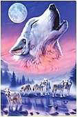 Волки
