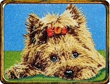 Йорк
