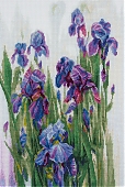 Акварельные ирисы
