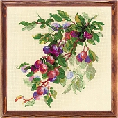 Ветка сливы