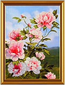Пионы