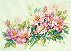 Розовый шиповник