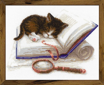 Котенок на книжке