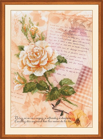 Письма о любви. Роза
